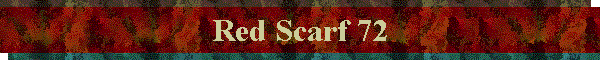 Red Scarf 72