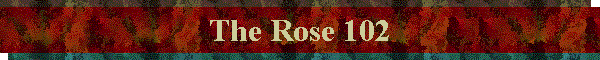 The Rose 102