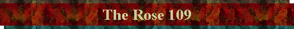 The Rose 109