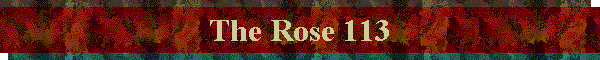 The Rose 113