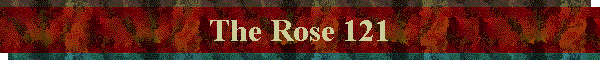 The Rose 121