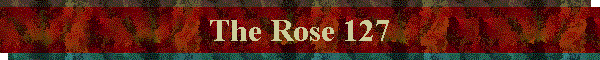 The Rose 127
