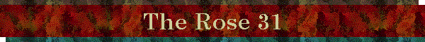 The Rose 31