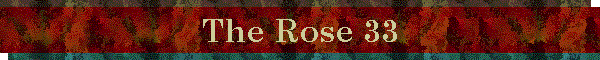 The Rose 33