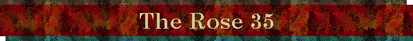 The Rose 35