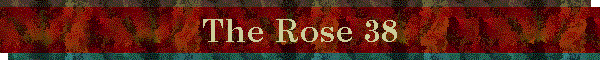 The Rose 38