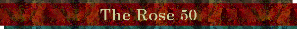 The Rose 50
