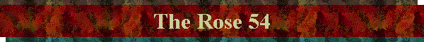 The Rose 54