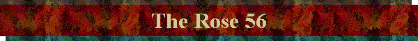 The Rose 56