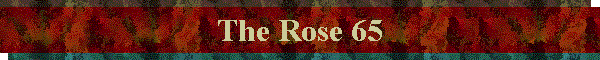 The Rose 65