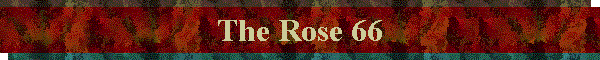 The Rose 66