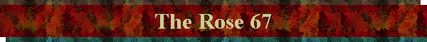 The Rose 67