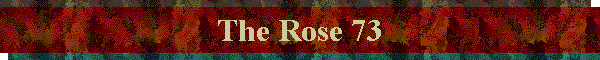The Rose 73