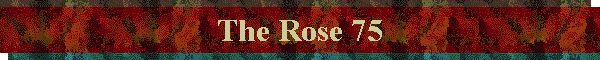 The Rose 75
