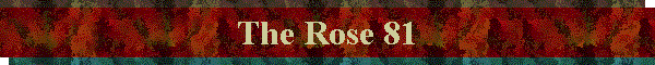 The Rose 81